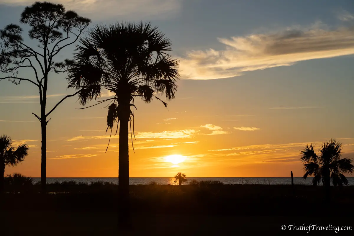 Palm trees overlooking the beach at sunset